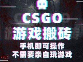 CSGO游戏挂G捡漏，单日扫货5张+，年底小高峰上车可吃肉，手机即可操作，兼职副业创业网创【揭秘】