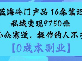 蓝海冷门产品：16条笔记私域变现9750米小众赛道，操作的人不多