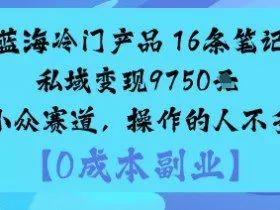蓝海冷门产品：16条笔记私域变现9750米小众赛道，操作的人不多