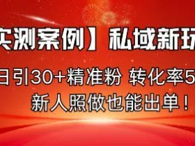 【实测案例】私域新玩法，日引30+精准粉，转化率50%，新人照做也能出单！