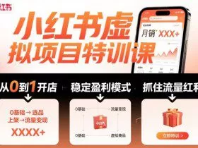 小红书虚拟项目特训课，帮你从0到1打造稳定盈利的店铺，抓住流量红利（更新9月）