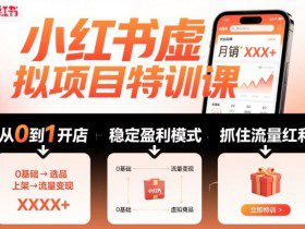 小红书虚拟项目特训课,帮你从0到1打造稳定盈利的店铺,抓住流量红利(更新9月)