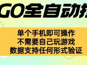 自动挂G捡漏，不用自己挂G不用玩游戏，一个手机即可操作，新手小白轻松月入1W+【揭秘】