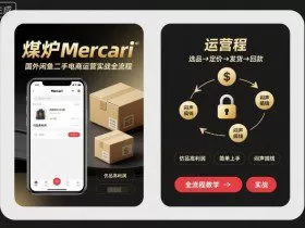 煤炉Mercari国外闲鱼二手电商运营实战全流程，仿品高利润，简单上手，闷声搞钱