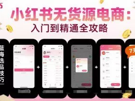 小红书无货源电商，入门到精通，开店+选品+笔记+剪辑+赛道+内容