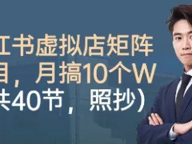 小红书虚拟店矩阵项目，照抄照做，月搞1W+（共40节）