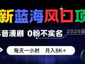 最新蓝海风口项目，抖音漫剧，0粉不实名每天一小时，月入8K+【揭秘】
