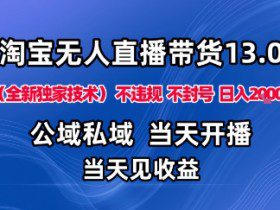 淘宝无人直播13.0，公域私域技术，不封号，不违规布局下半年旺季赛道，日入1K+（独家技术）【揭秘】
