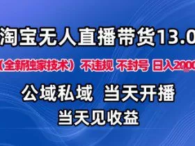 淘宝无人直播13.0，公域私域技术，不封号，不违规布局下半年旺季赛道，日入1K+（独家技术）【揭秘】