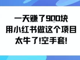 一天挣了9张用小红书做这个项目太牛了，空手套