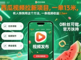 西瓜视频拉新项目，一单13米，有人悄悄用这个方法，一条视频收益2.5w+（附详细教程）
