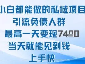 2025年小白都能做的私域项目引流负债人群最高一天变现1k+高变现难度低当天就能见到钱上手快