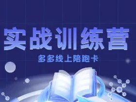 多多实战训练营，从0到1打造一个真正賺钱的店铺