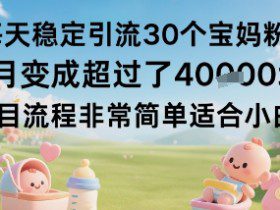 每天稳定引流30个宝妈粉当月变成超过了1W+项目流程非常简单适合小白