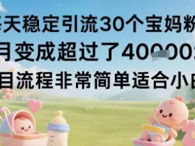 每天稳定引流30个宝妈粉当月变成超过了1W+项目流程非常简单适合小白