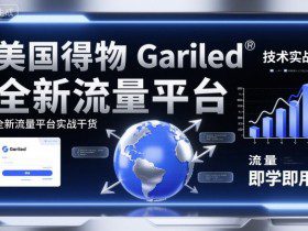 美国得物Gariled技术实战，全新流量平台​实战干货，即学即用