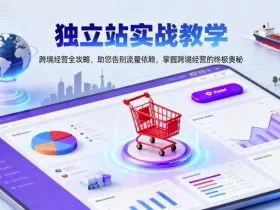 独立站实战教学，跨境经营全攻略，助您告别流量依赖，掌握跨境经营的终极奥