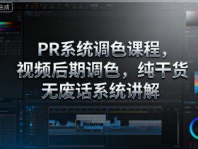 PR系统调色课程,视频后期调色,纯干货无废话系统讲解