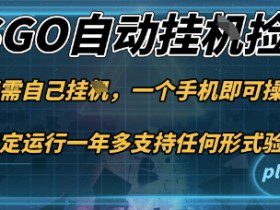 游戏自动挂G捡漏，一个手机即可操作，当天可操作见到结果，新手小白轻松月入1W+【揭秘】