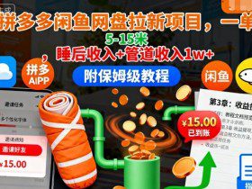 拼多多闲鱼网盘拉新项目，一单5-15米，睡后收入+管道收入1w+（附保姆级教程）