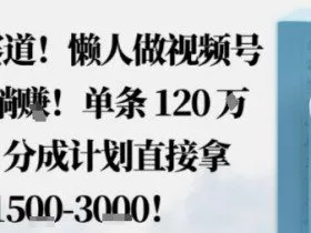 蓝海赛道，懒人做视频号也能躺挣，单条120W赞，分成计划直接拿1.5k，不用拍不用剪