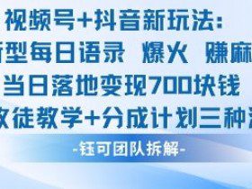 视频号加抖音新玩法：爆火新型每日语录，收徒教学加分成计划，三种变现玩法，当日变现7张