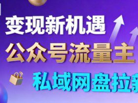 公众号流量主+私域网盘拉新，多方式变现，简单易上手，当天就有收益