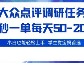 大众点评调研，电脑任务，2秒一单每天50-2张，学生党宝妈首选【揭秘】