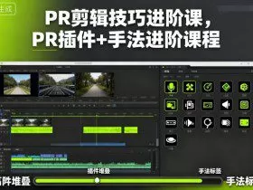 PR剪辑技巧进阶课，PR插件+手法进阶课程