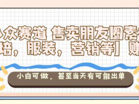 小众赛道售卖朋友圈素材【教培，服装，营销等】賺麻了，小白可做，甚至当天有可能出单