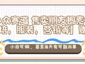 小众赛道售卖朋友圈素材【教培，服装，营销等】賺麻了，小白可做，甚至当天有可能出单