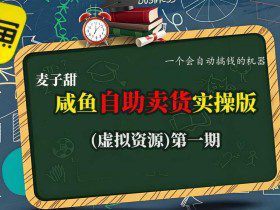 麦子甜咸鱼自助卖货实操版（虚拟资源）一个会自动搞钱的机器