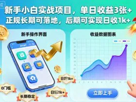 新手小白实战项目，单日收益3张+，正规长期可落地，后期可实现日收1k+【揭秘】