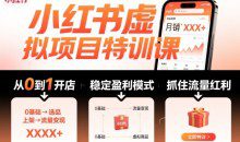 陆明明·小红书虚拟项目特训课,帮你从0到1打造稳定盈利的店铺,抓住流量红利(更新9月)