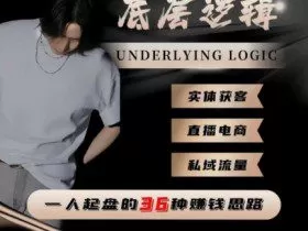 一个人起盘的底层逻辑，私域流量-直播电商-实体获客，一人起盘的36种賺钱思路