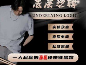一个人起盘的底层逻辑，私域流量-直播电商-实体获客，一人起盘的36种賺钱思路