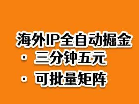海外ip全自动掘金，2025必做蓝海项目，3分钟落地，矩阵直接开干【揭秘】
