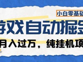 游戏全自动掘金纯挂G项目，月入过1W，小白零基础可操作长期稳定【揭秘】