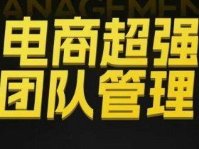 电商超强团队管理，组织绩效，到用人执行，分权合伙