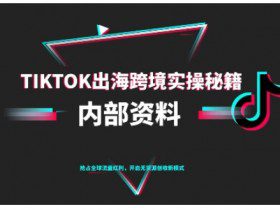 TikTok跨境电商0-1搭建运营，TK出海跨境实操秘籍（10月更新）