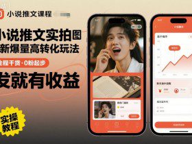 小说推文实拍双图文最新爆量高转化玩法，全程干货，0粉起步，发就有收益