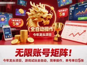 无限账号矩阵！今年龙头项目，游戏试玩全自动，简单操作，单号单日5张【揭秘】