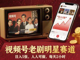 视频号老剧明星赛道，日入5张，人人可做，每天2小时