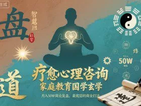 疗愈心理咨询，家庭教育国学玄学，月入50个商业复盘，最底层的商业打法