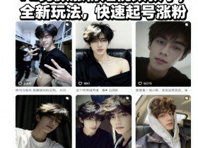 AI男颜涨粉短视频教学，全新玩法，快速起号涨粉