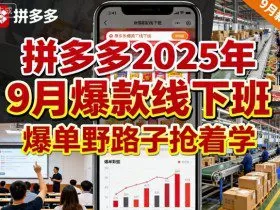 拼多多2025年9月爆款线下班，爆单野路子抢着学