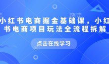 小红书电商掘金课，小红书电商项目玩法全流程拆解