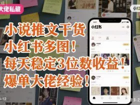 小说推文干货之小红书多图每天稳定3位数收益爆单大佬经验分享
