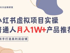 小红书虚拟项目实操指南，普通人月入1W+产品推荐，直接抄