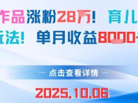 18条作品涨粉28W，育儿赛道新玩法，单月收益8k